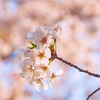 今ここにある幸せ
