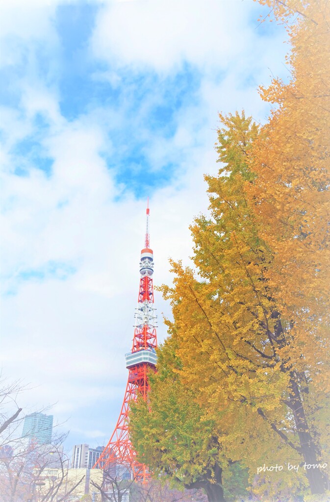 Autumn color Tokyo