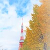 Autumn color Tokyo