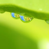 明日天気になーれ♪