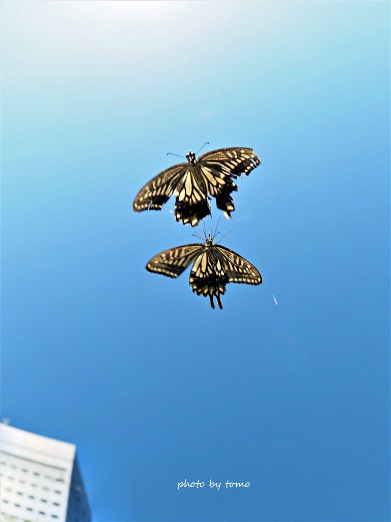 街に生きる