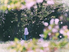 しあわせのカタチ