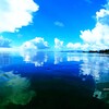 凪海