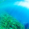 母なる海にて