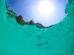 そらと海の間には