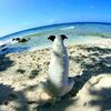 海をみていた午後