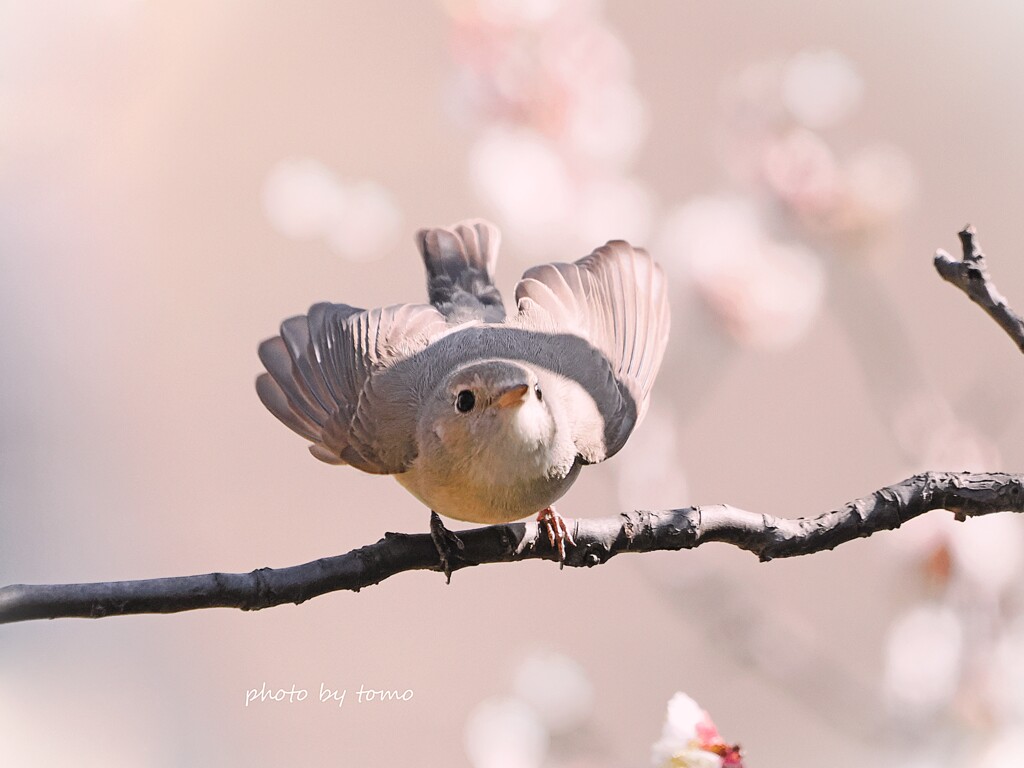 もうすぐハートになれる気がする
