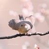 もうすぐハートになれる気がする