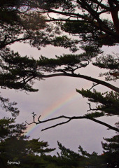 空を渡る虹
