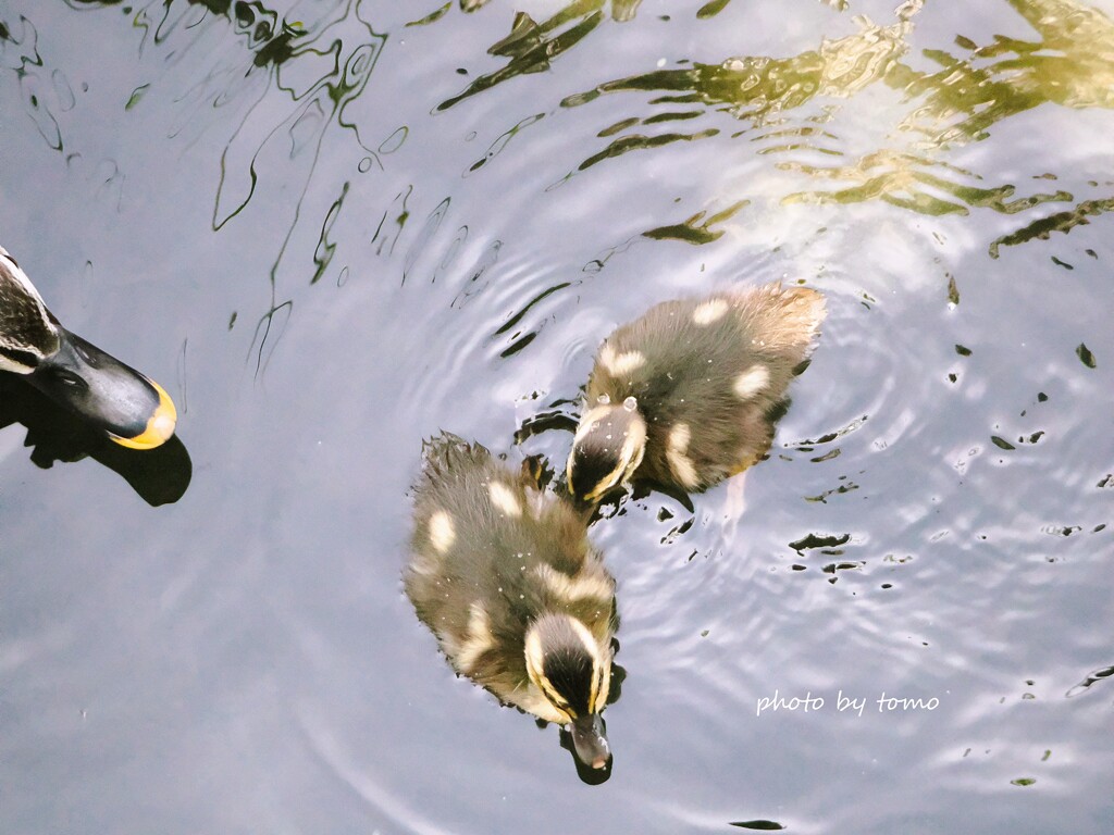 ♡