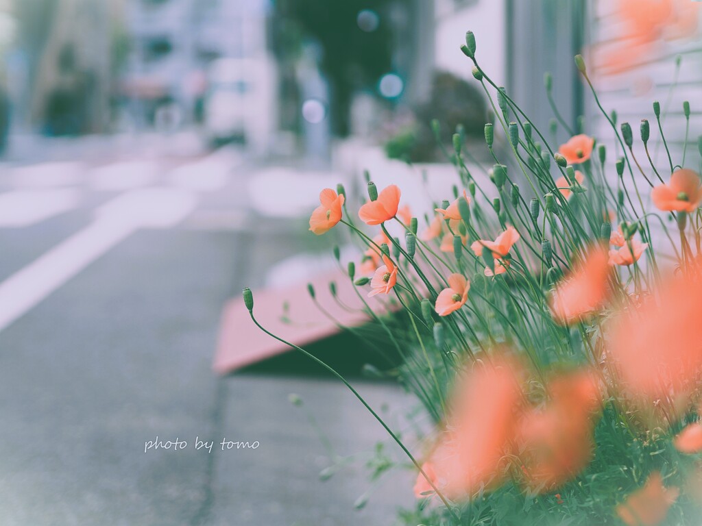 街角の。。。