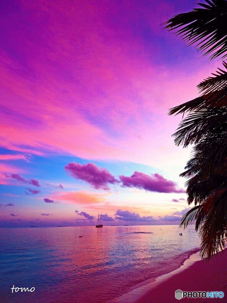 幸せ色の夕暮れに