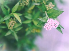 small happiness♡