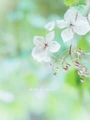 Happiness can be found everywhere♡