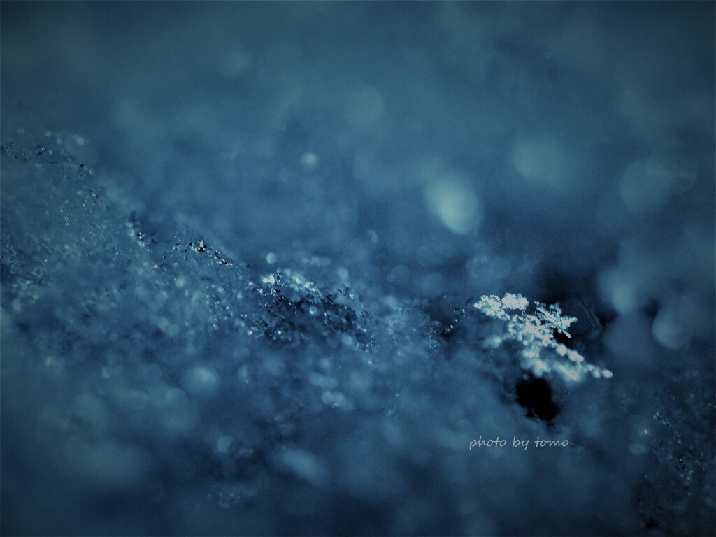 snow crystal