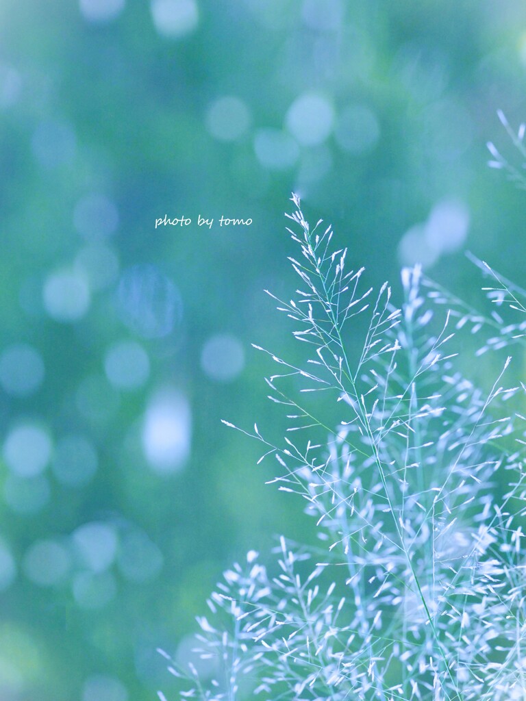 冬の足音