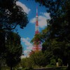 かわらないもの