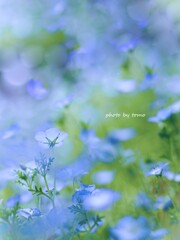５月の海