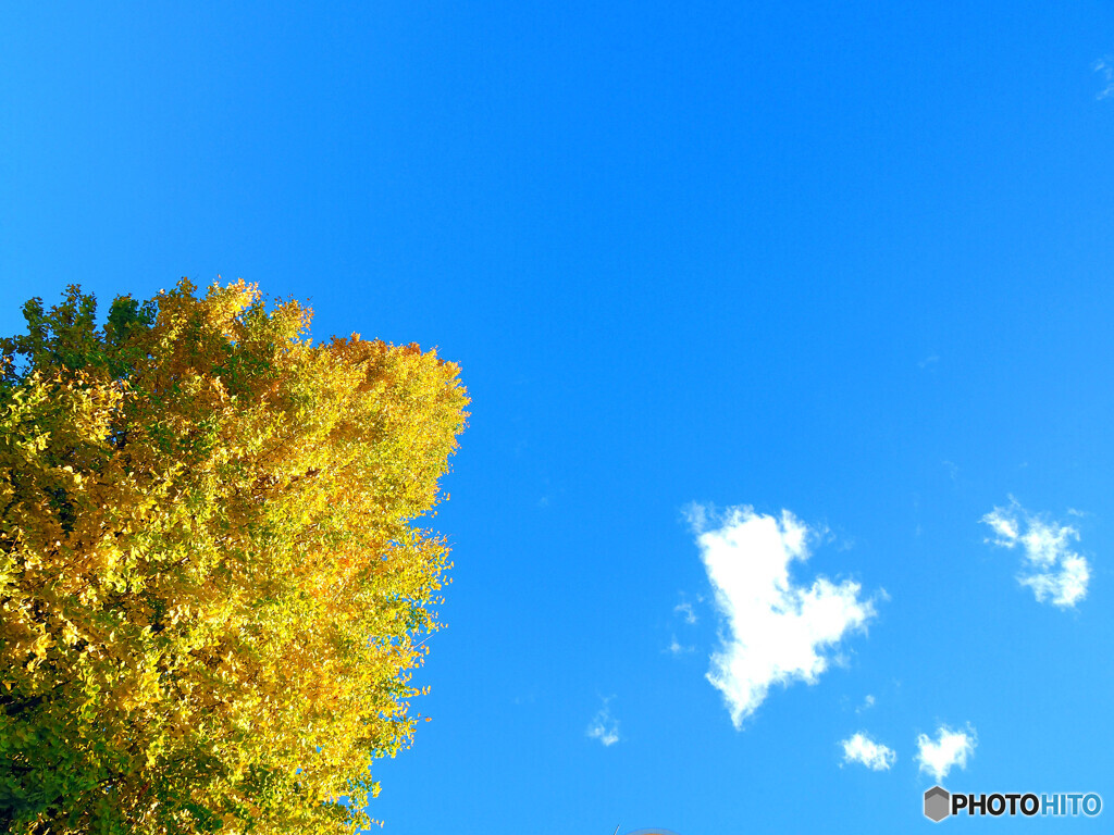 空にうかぶハート