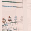 いつか記憶からこぼれ落ちるとしても…