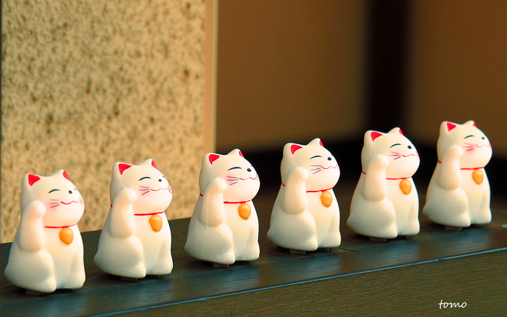 笑猫