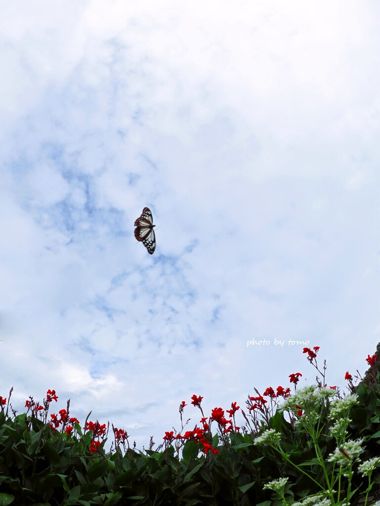 おかえり♡