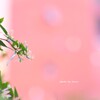 ほわほわ時間♡