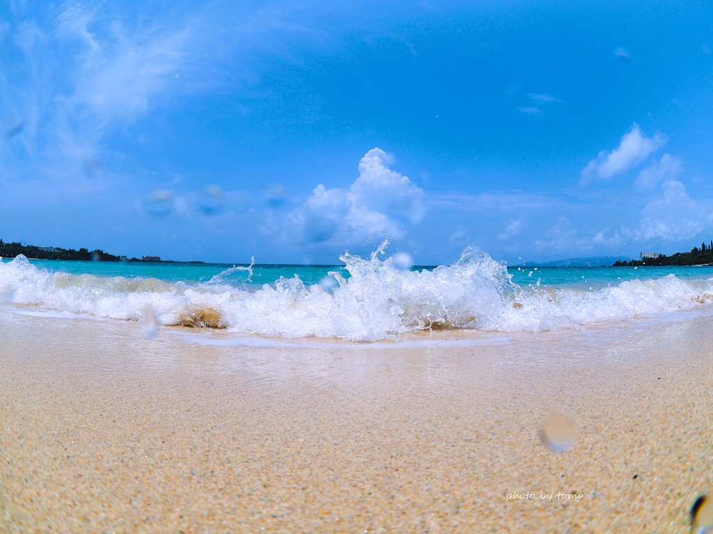 Summer has come☆彡