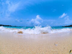 Summer has come☆彡