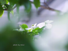 ココロの奥にあるモノ