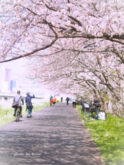 春を愉しもう♫