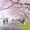 春を愉しもう♫