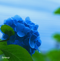 海をみていた午後