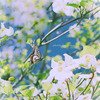 再会♡