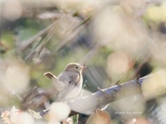 しあわせとは…