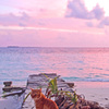 幸せ色の夕日のなかで　　島猫