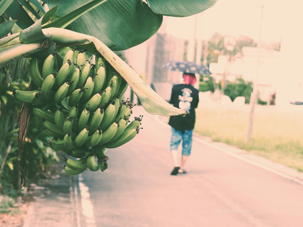 見守りバナナ