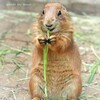うまうま♪