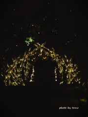 星降る夜の