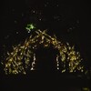 星降る夜の