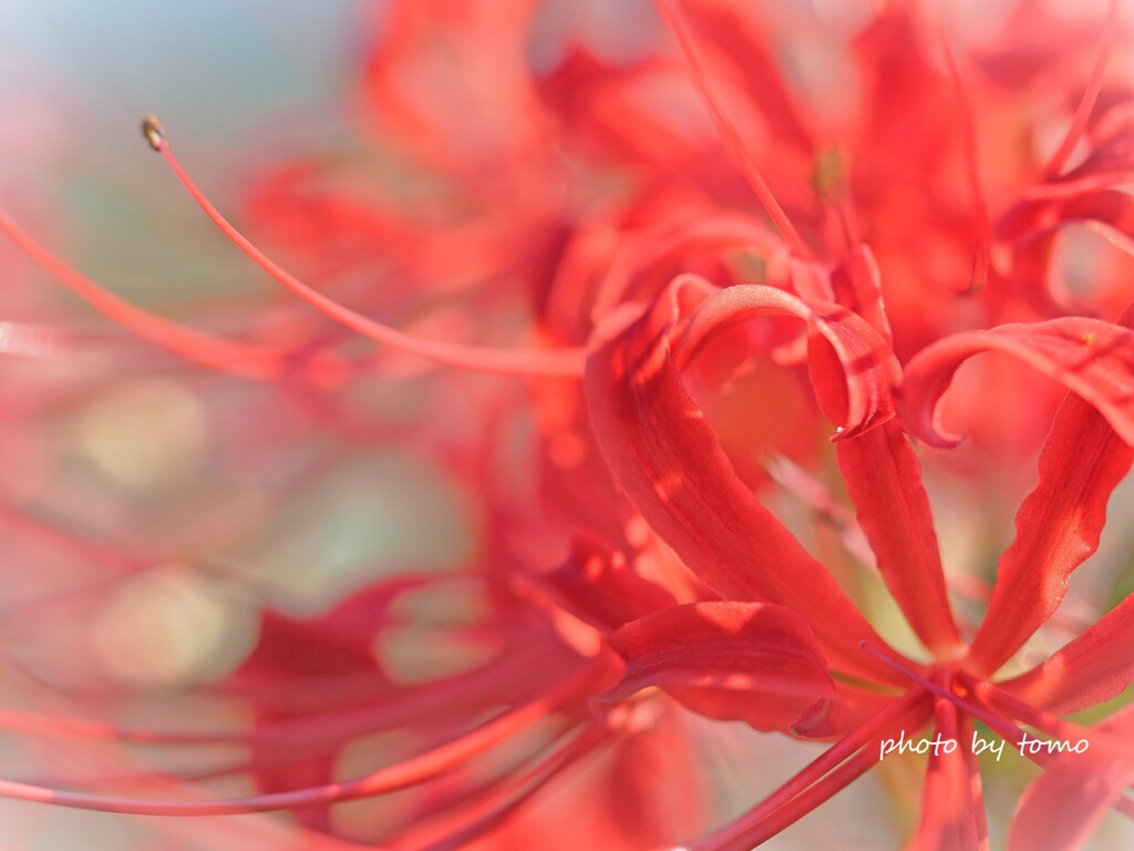 サヨナラ９月♡