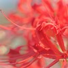 サヨナラ９月♡