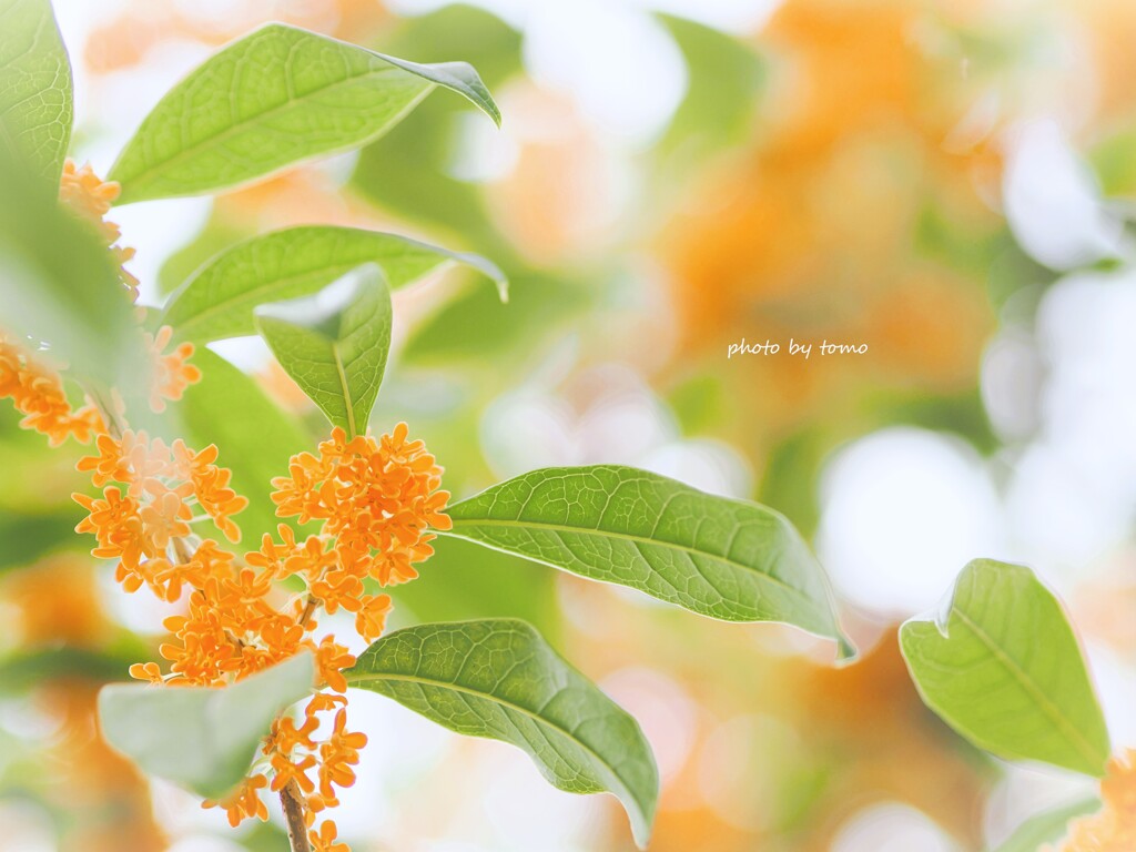 見上げた空は。。。