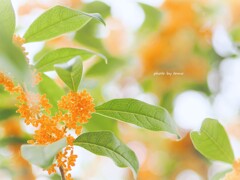 見上げた空は。。。