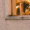 秋のうしろすがた
