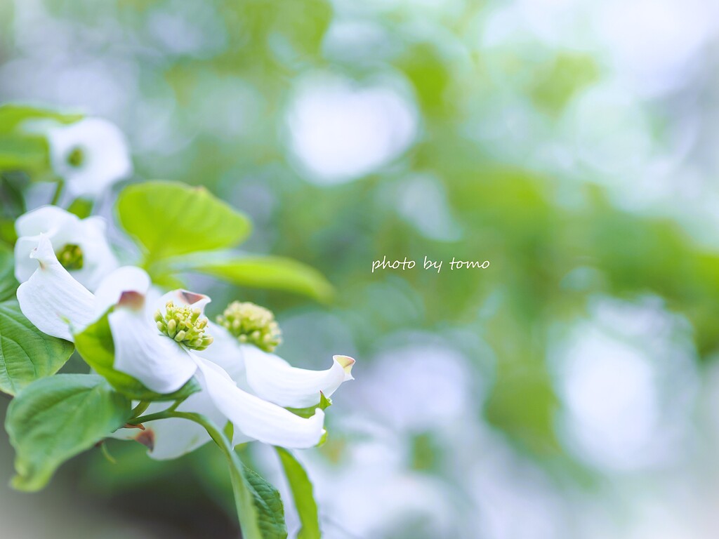 ハルノトイキ♡