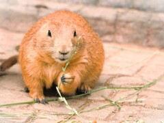 食べることは・・・