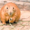 食べることは・・・