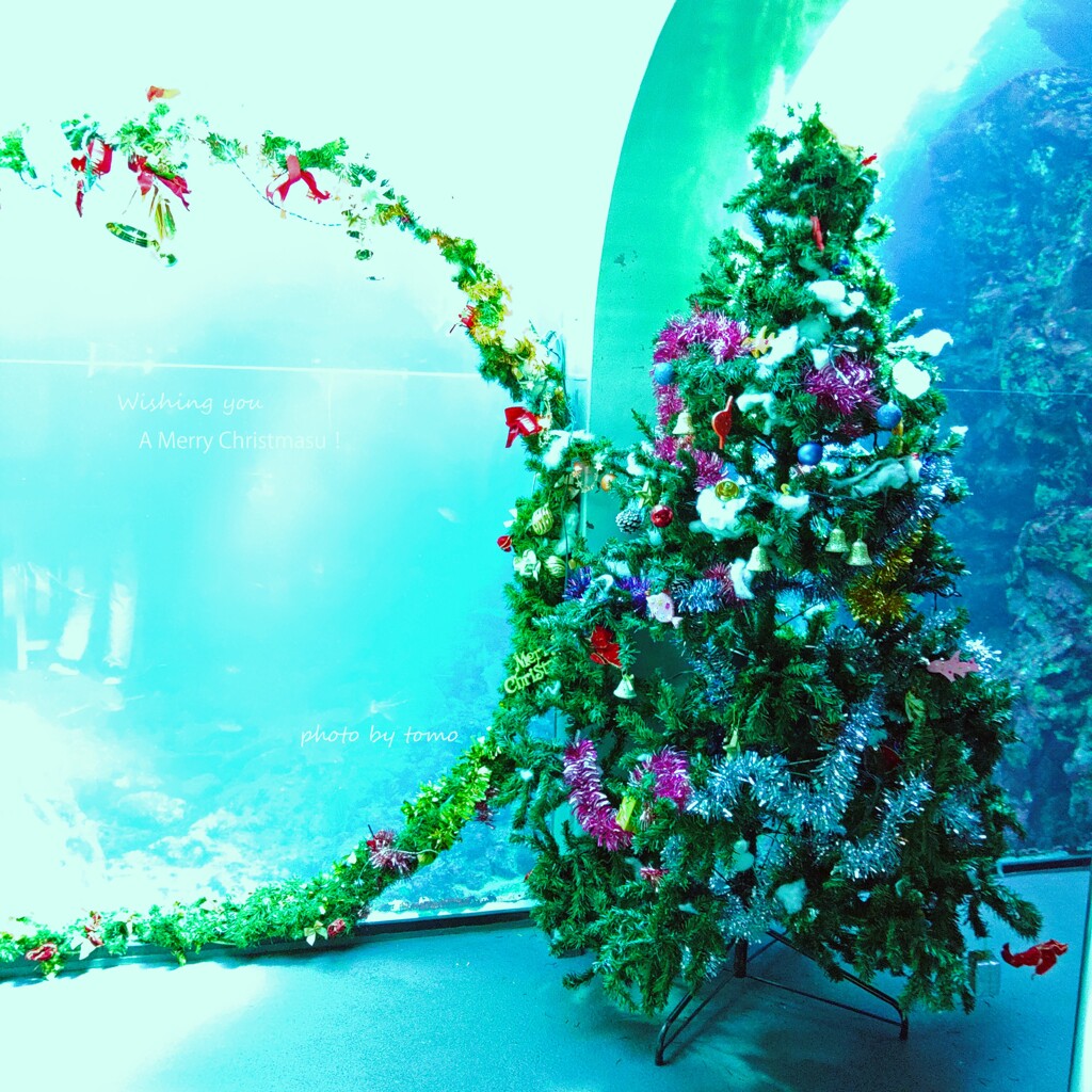 Christmas under the sea