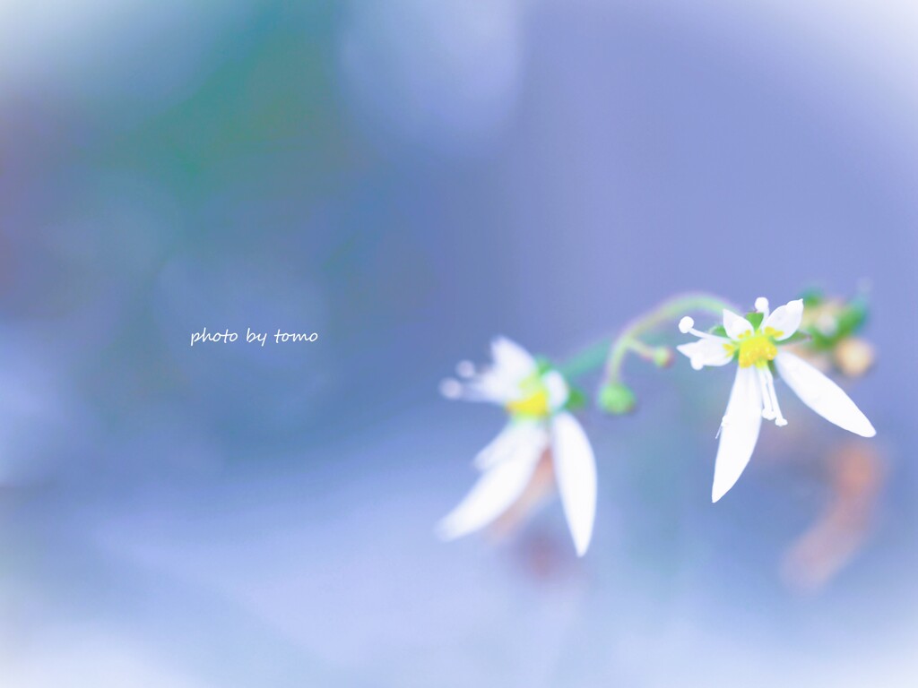 あなたにエールを♫